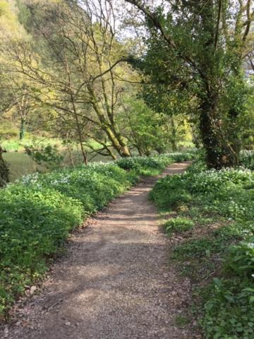 Riverside Stay Gunnislake エクステリア 写真